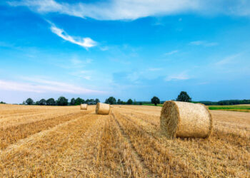 אירועי חג השבועות בהרצליה