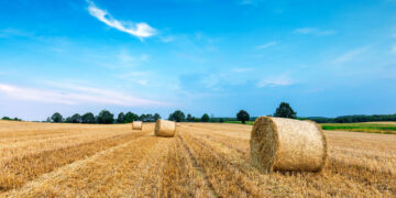 אירועי חג השבועות בהרצליה