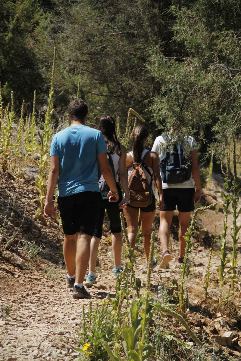 תלמידים במסגרת טיול בית ספרי. צילום Deposit Photos