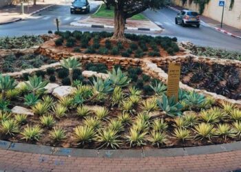 הטמעת עקרונות של גינון בר-קיימא ברחבי הרצליה בשנה הקרובה. צילום דוברות העירייה