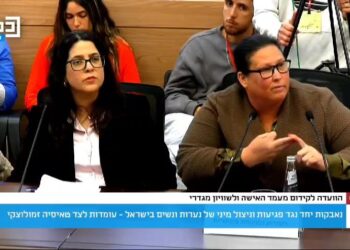 סגנית ראש העיר, דנה אורן ינאי בוועדה לקידום מעמד האישה ולשוויון מגדרי בכנסת. צילום מסך מערוץ הכנסת.