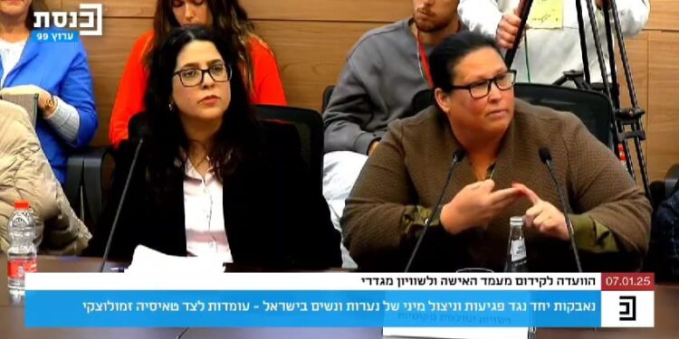 סגנית ראש העיר, דנה אורן ינאי בוועדה לקידום מעמד האישה ולשוויון מגדרי בכנסת. צילום מסך מערוץ הכנסת.