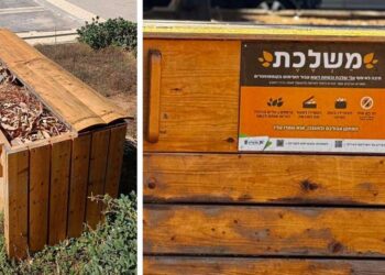 תיבות המַשְׁלֶכֶת שנבנו על ידי תלמידי בית-ספר מפתן ארז. צילומים דוברות העירייה