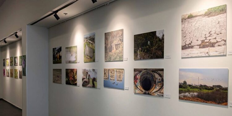 התמונות בתערוכה כבר תלויות ומוכנות. צילום סיגל קולטון