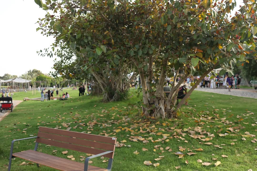 הפארק תוכנן בקפידה כדי להיות נגיש ומותאם לכלל האוכלוסיות. צילום דוברות העירייה