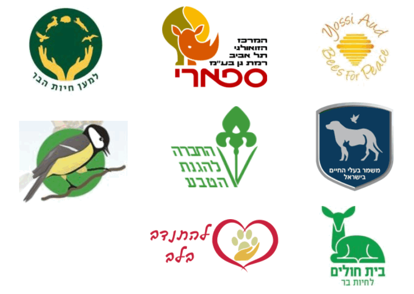 שותפים בקורס ובהרצאות