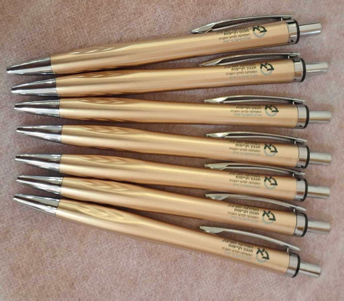 סהר מדגישה את החזון החינוכי של תיכון חדש המתמקד במצוינות אישית ולא בהצטיינות יחסית. צילום: סהר אמר