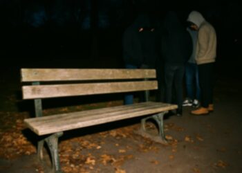 בתום ימי החקירה עלה על פי החשד כי הקטין שהותקף זומן על ידי בני נוער אחרים לגינה בעיר. תמונה עיבוד AI