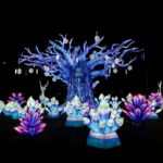 בסוקולוב - בן גוריון - היער המכושף. קרדיט צילום: גיא יחיאלי