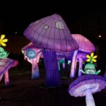 בסוקולוב - בן גוריון - היער המכושף. קרדיט צילום: גיא יחיאלי