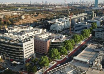 למעלה מ-100 עצים חדשים שיתווספו ל-70 העצים הקיימים ברחוב שנקר. אילוסטרציה: מערכת האתר