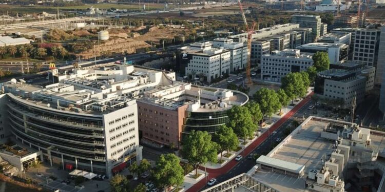 למעלה מ-100 עצים חדשים שיתווספו ל-70 העצים הקיימים ברחוב שנקר. אילוסטרציה: מערכת האתר