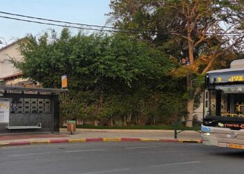 קו 9 בכניסה לנווה עמל, כרגע האוטובוסים חזרו למסלול הרגיל למעט אירועים נקודתיים של נהגים שפעלו בניגוד להנחיות. צילום מערכת האתר