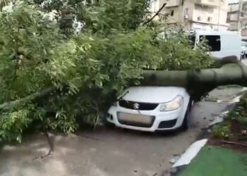 הנהג התהלך בסמוך וסיפר שבמהלך נסיעה העץ פשוט קרס על הרכב. צילום: תיעוד מבצעי מד"א