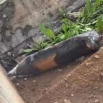 שבר יירוט שנפל באחת השכונות בהרצליה. צילום מהרשתות החברתיות בשימוש לפי סעיף 27א לחוק זכויות יוצרים.