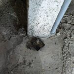 נפילת רסיסים בשטח פתוח, בעקבות אירועי שיגורי טילים. תמונה: דוברות עיריית הרצליה