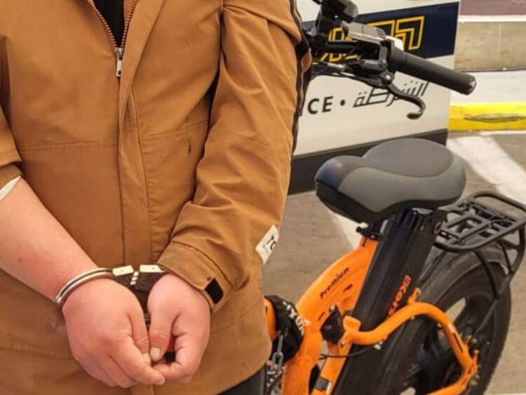 החשוד, נתין זר מסין בן 21, הועבר לחקירה אשר בסופה נכלא. צילום: דוברות המשטרה