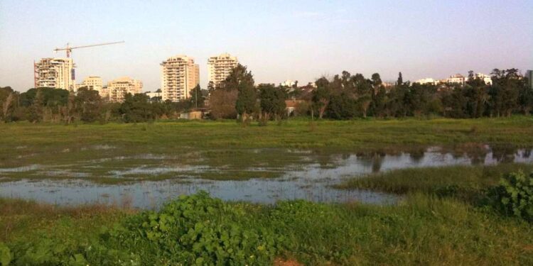 אתגר הטבע העירוני 2026 יום שישי, 24.4 | 09:00 - 10:30 | בפארק הרצליה - ליד הפארקר. צילום: מערכת האתר