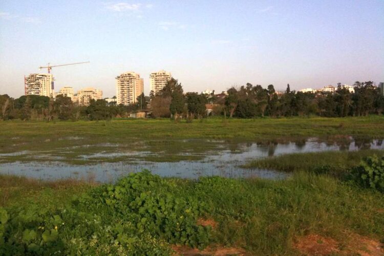 אתגר הטבע העירוני 2026 יום שישי, 24.4 | 09:00 - 10:30 | בפארק הרצליה - ליד הפארקר. צילום: מערכת האתר