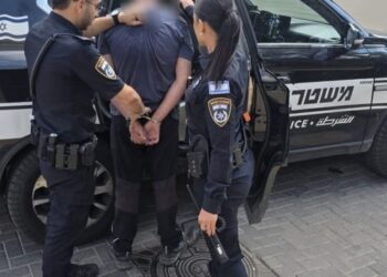 שוטרים עוצרים את החשוד בגניבת רכב שנמלט רגלית והסתתר בכפר שמריהו. צילום: דוברות המשטרה